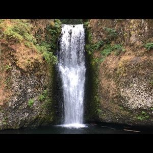 Meet your Posher, Lynne